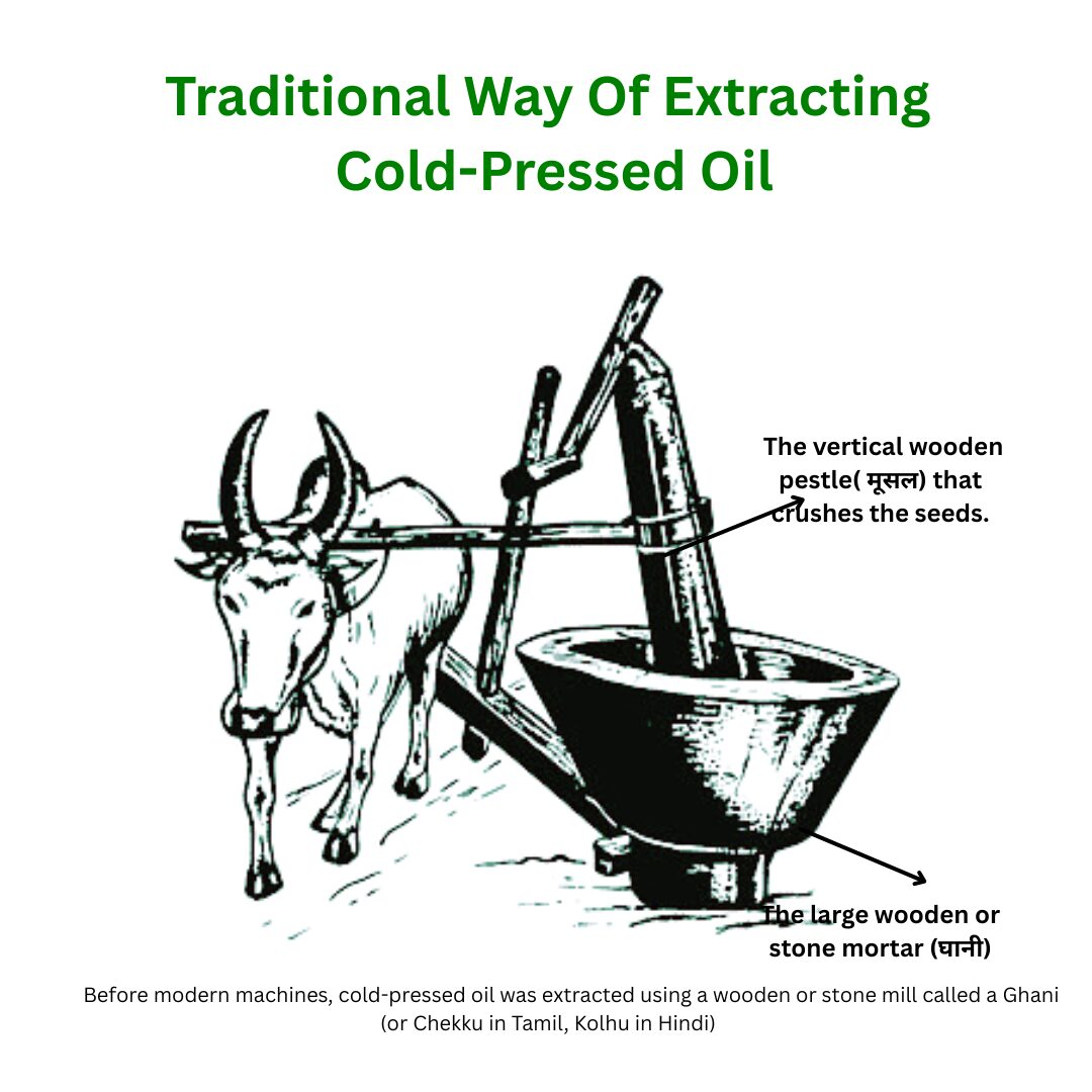 Cold-Pressed Oil | Traditional Extraction Process (Kohlu)