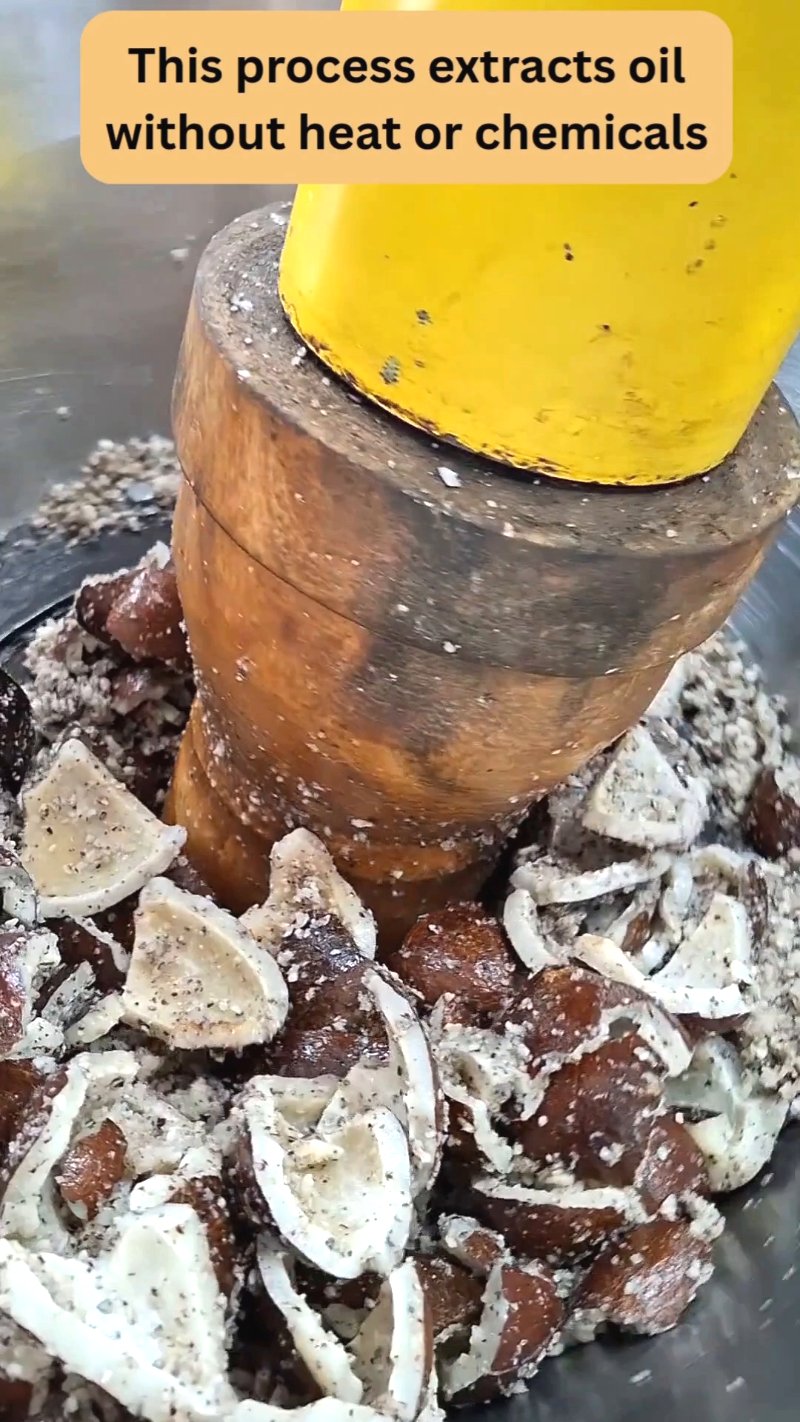 Cold Pressed Oil | Diza